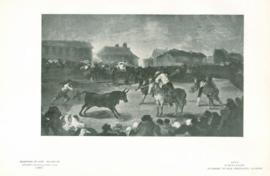 A Bull-Fight