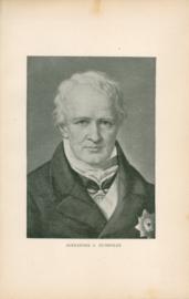 Alexander V Humboldt