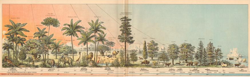 Aspects Of Nature In Different Latitudes