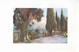 Cypress Avenue- Villa del Pizzo - Lago di Como
