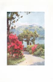 Villa Carlotta - Lago di Como