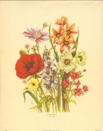 Loudon Florals 1086