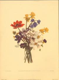 Vintage Floral Print 22705